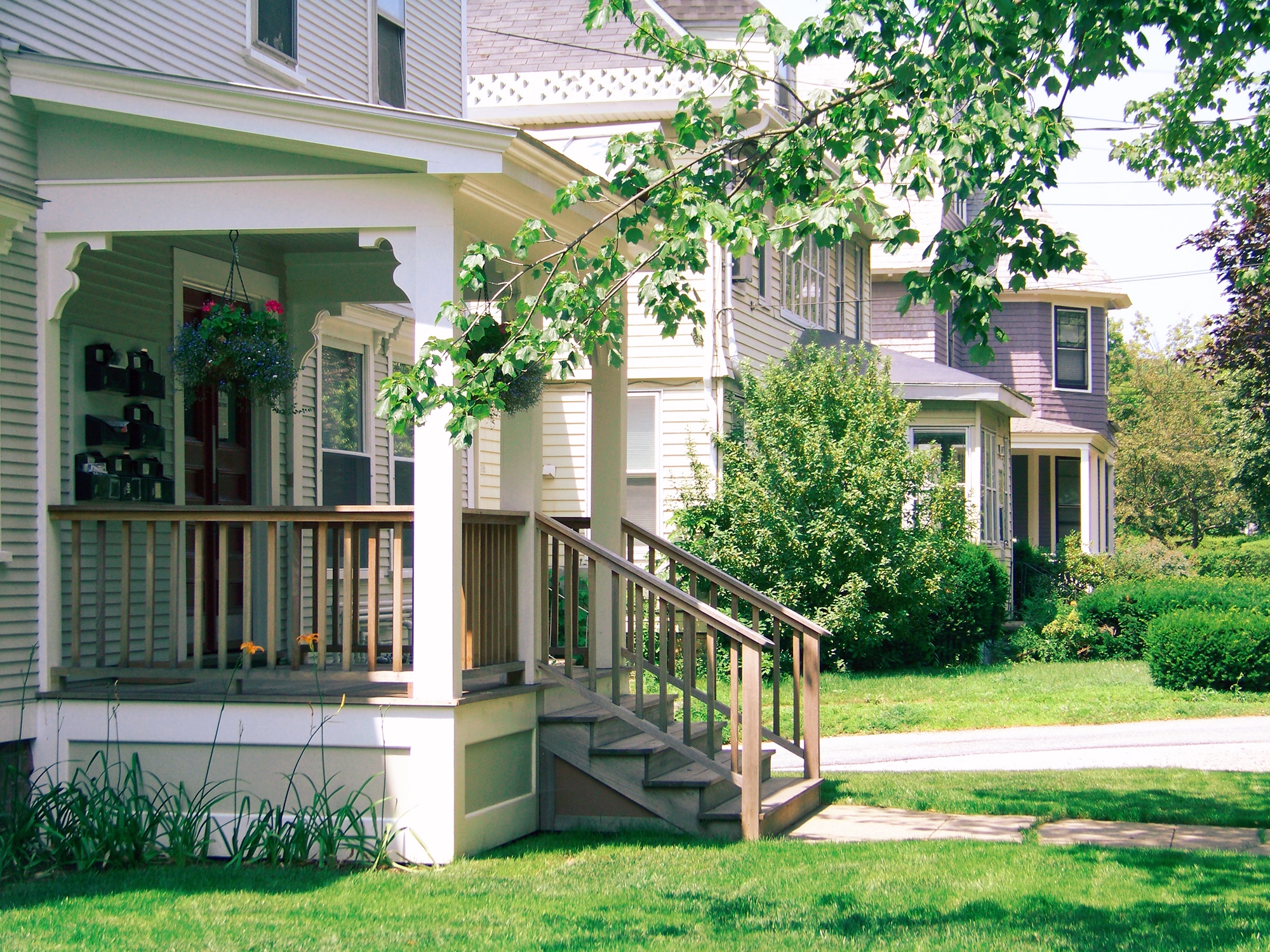 website picture