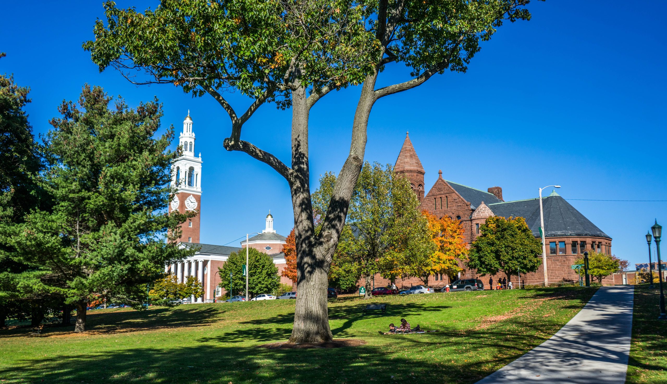 UVM-Lawn